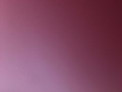 -游击队小豆腐(九街店)