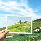 旅行画画的人生闪闪发光✨✨