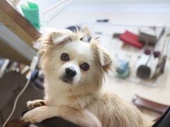 -零几体验diy皮具工作室(振业城店)