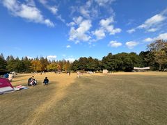 -上海滨江森林公园
