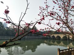 景点-望江楼公园