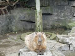 -宁波野生动物园