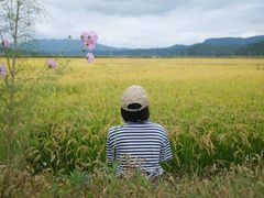 -洋湖沟