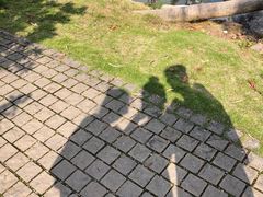 -天芳悦潭度假村温泉