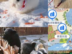 -海合安天津极地海洋公园