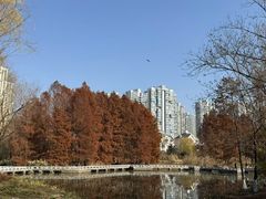 -白塘生态植物园