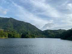 -深圳仙湖植物园