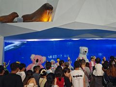 -泉城欧乐堡海洋极地世界