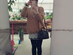 -龙大花卉苗木市场