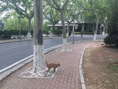 -大连理工大学(凌水校区)