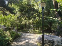 -玲珑塔公园