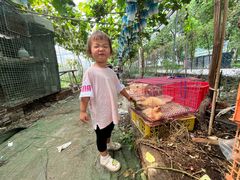 -马陆小张葡萄园农家乐