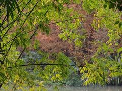 -桤木河湿地公园