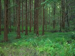 -小格里自然风景区