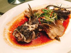 -顺峰(农展馆店)