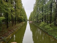 -黄海国家森林公园