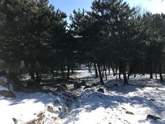 -北京鹫峰国家森林公园