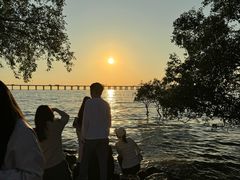 -宝安西湾红树林湿地公园