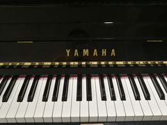 -属音琴行(成山路店)