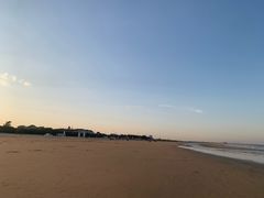 -日照海滨国家森林公园
