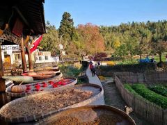 -塔川景区