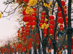 -洲头咀公园