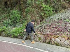 -金鸡山公园