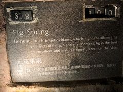 -海口观澜湖火山温泉谷