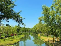 -溱湖国家湿地公园