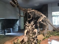 -自贡恐龙博物馆