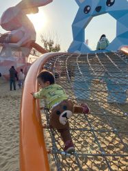 -季高兔窝窝亲子园(上海薰衣草公园店)