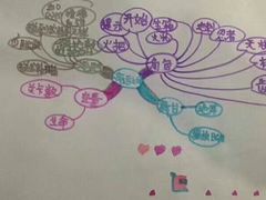 -魔扣少儿编程(格调中心店)