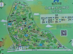 -合肥野生动物园