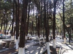 -白马涧龙池景区
