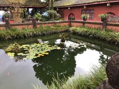 -峨眉山报国寺