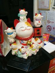 -赫本印象美容纤体