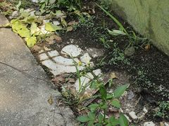 -大嶝英雄三岛战地观光园