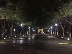 -天鹅湖体育公园