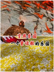 -宝燕乐园(闵行旗舰店)