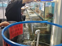 -仙螺岛海鲜自助餐厅(总店)