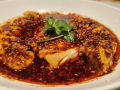 -杨氏青龙虾·羊蝎子(托乐嘉店)