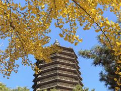 -玲珑塔公园
