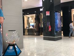 -米兰马尔彭萨国际机场