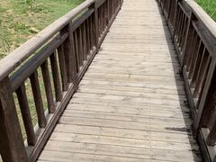 -羊亭河湿地公园