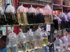 -华声天桥民俗文化园