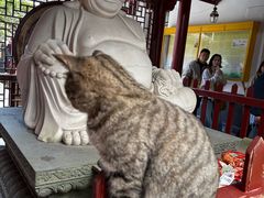 -普陀山慧济禅寺