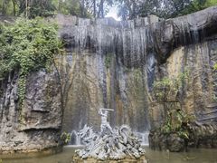 -西双版纳原始森林公园