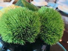 -彩丰楼·中餐厅(国家会展中心上海洲际店)