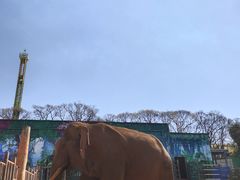 -昆明动物园