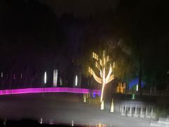 -枫花园汽车电影院(朝阳公园店)